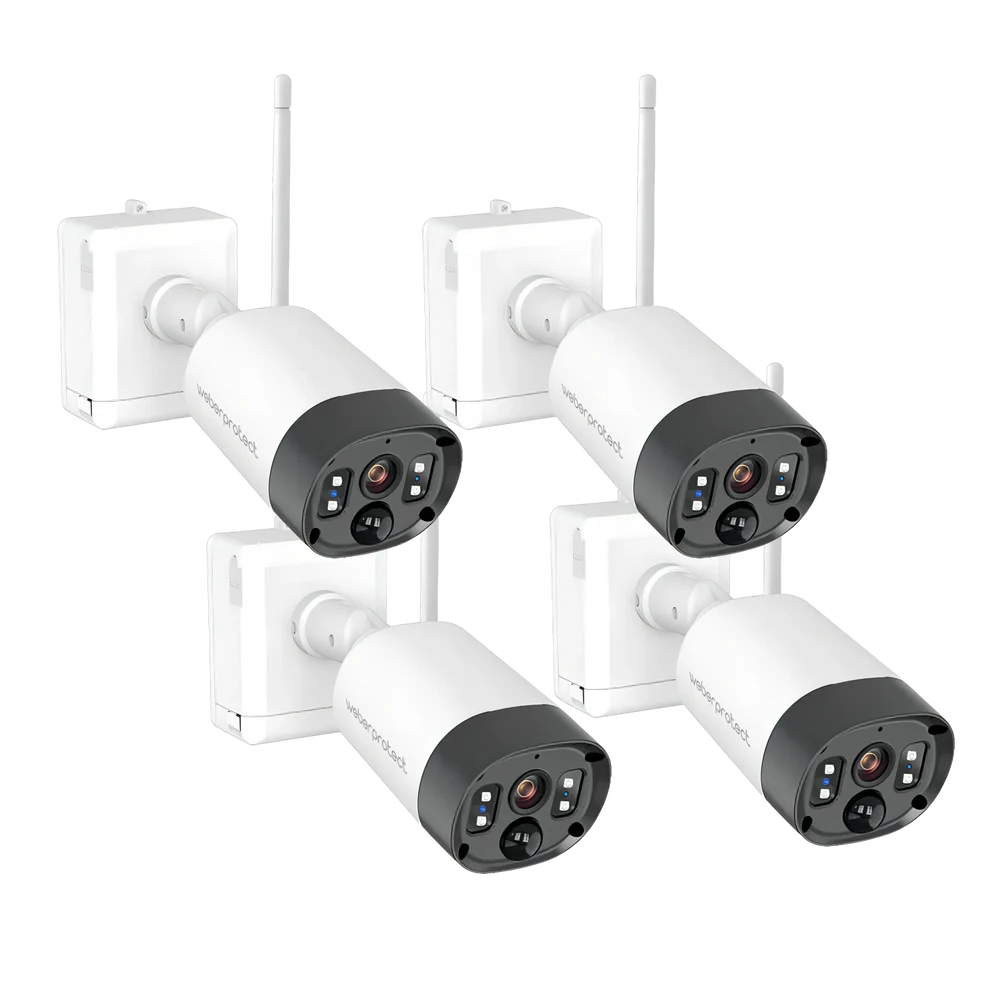 lightbox image lightbox image