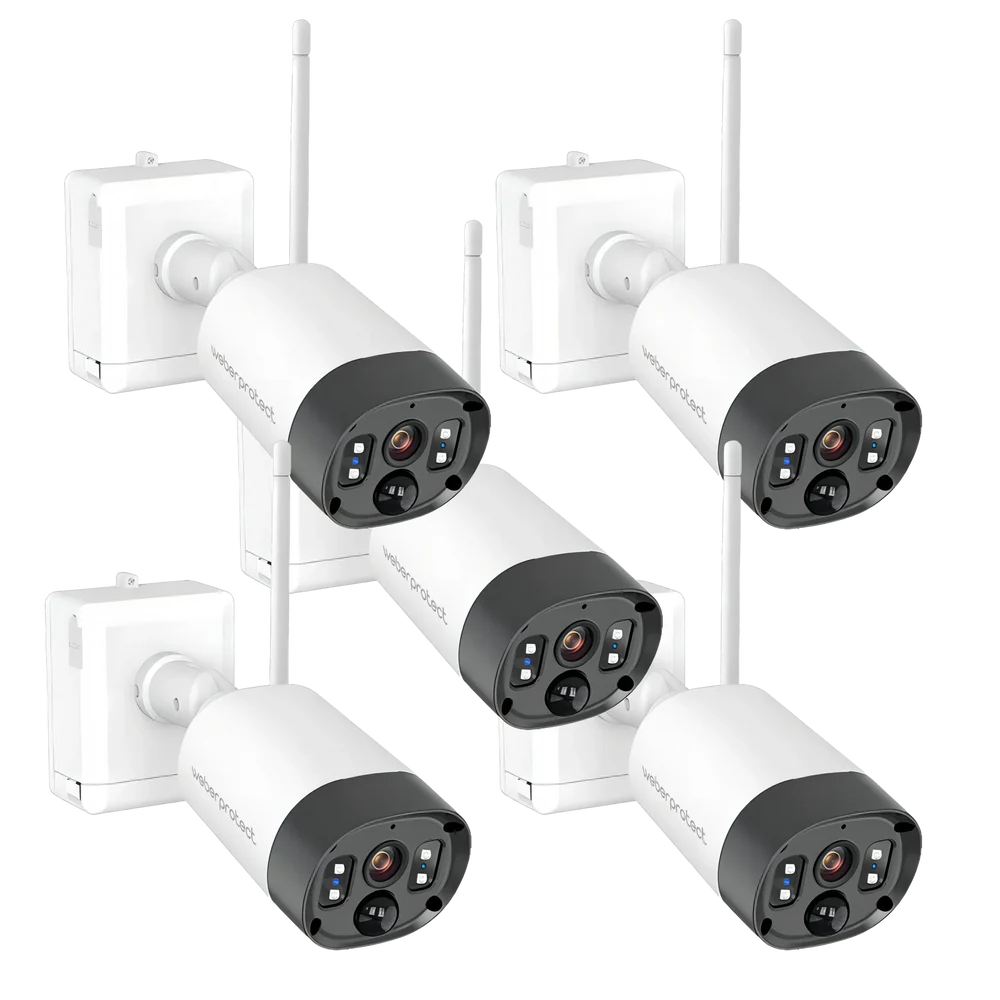 lightbox image lightbox image